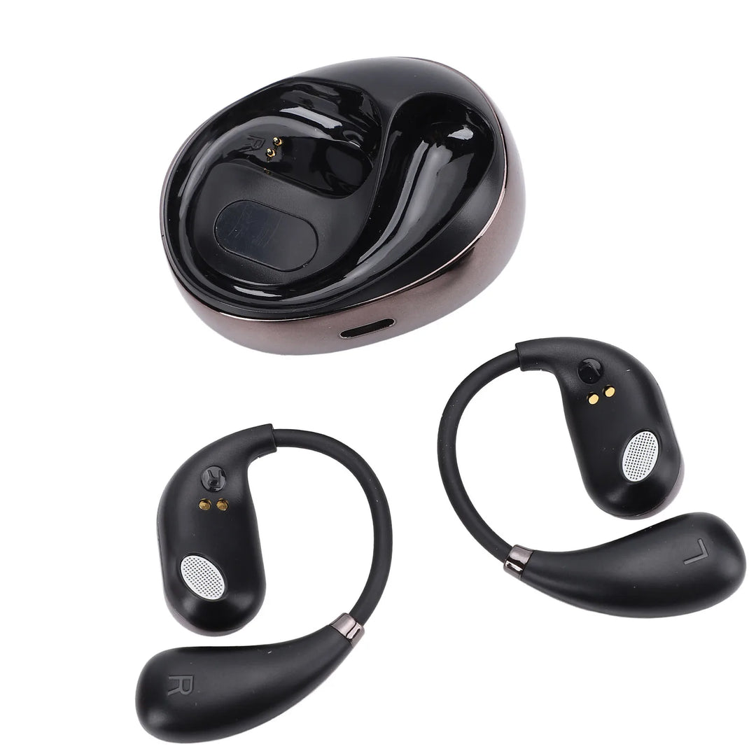 Qiilu AI Translation Ear Hook Earphones – 80 Languages & Stereo