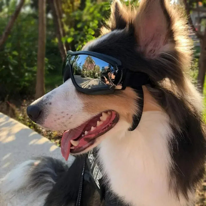 Large Dog Sunglasses – UV Protection Adjustable Goggles with Chin Strap – grooming kit