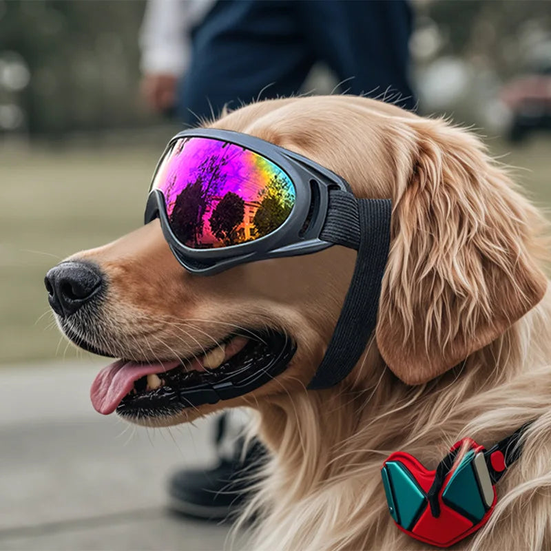 Dog Sunglasses with UV Protection – Adjustable Goggles for Outdoor Adventures