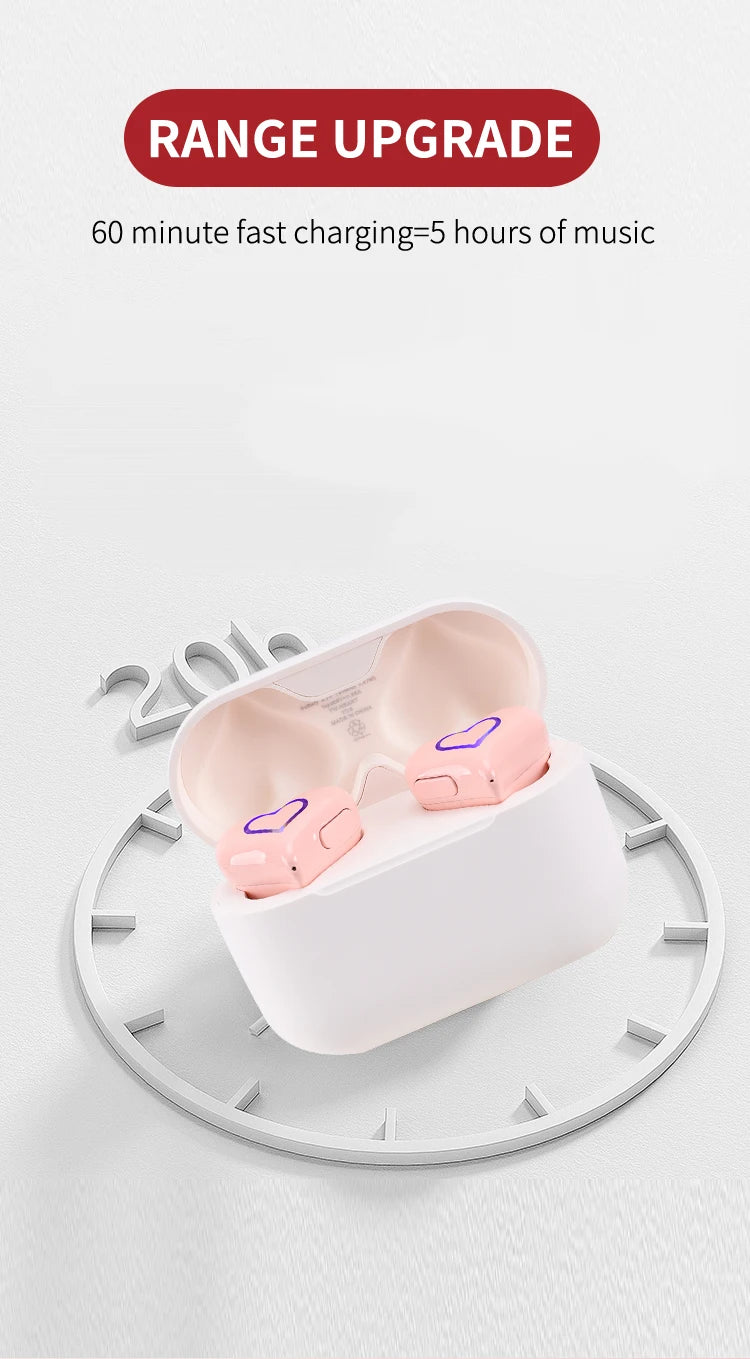 Erilles Bluetooth 5.3 True Wireless Earbuds | With Mic