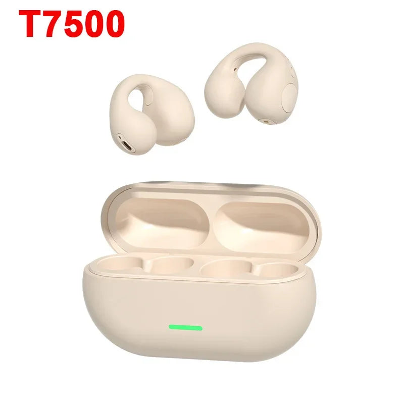 DIXSG Bluetooth 5.3 Ear Hook Earbuds – Wireless & Mic
