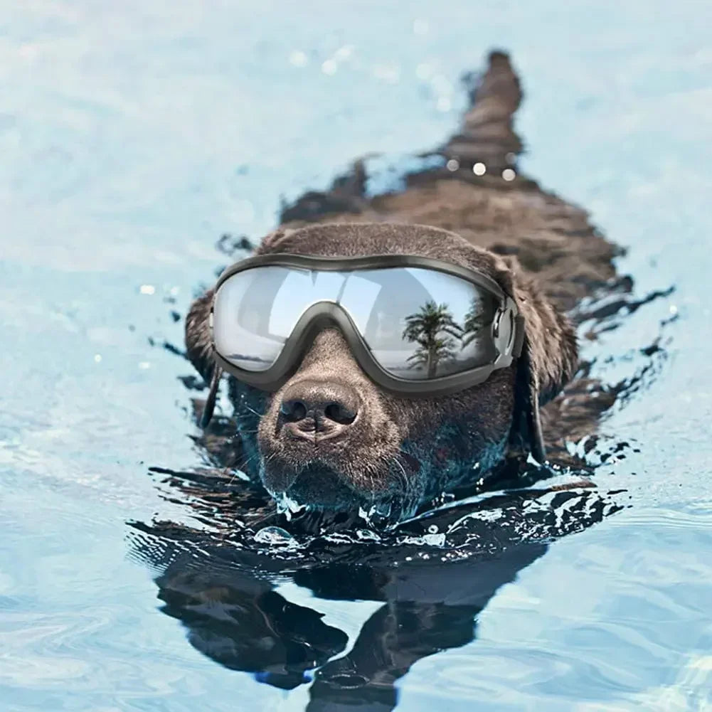 Large Dog Sunglasses – UV Protection Adjustable Goggles with Chin Strap