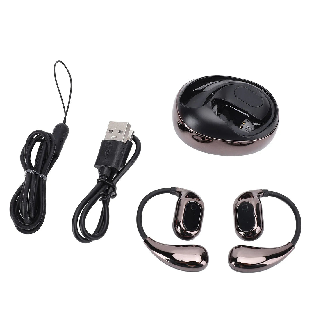 Qiilu AI Translation Ear Hook Earphones – 80 Languages & Stereo