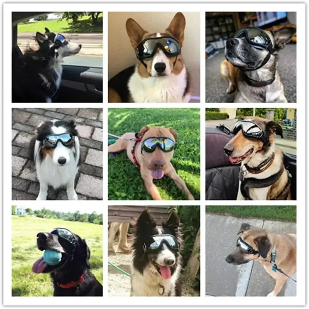 Large Dog Sunglasses – UV Protection Adjustable Goggles with Chin Strap