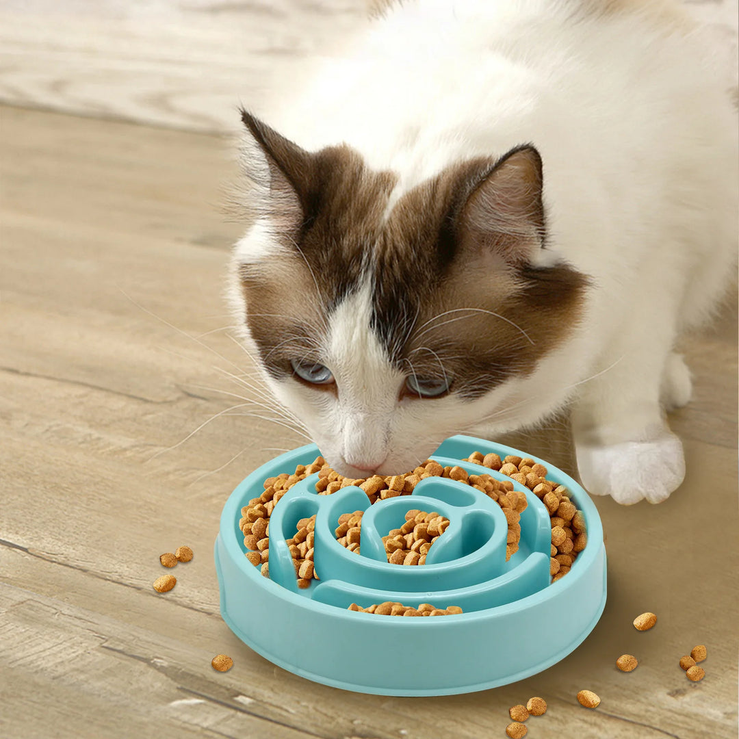 Slow Feeder Dog Bowl – Non-Slip & Anti-Choke Design