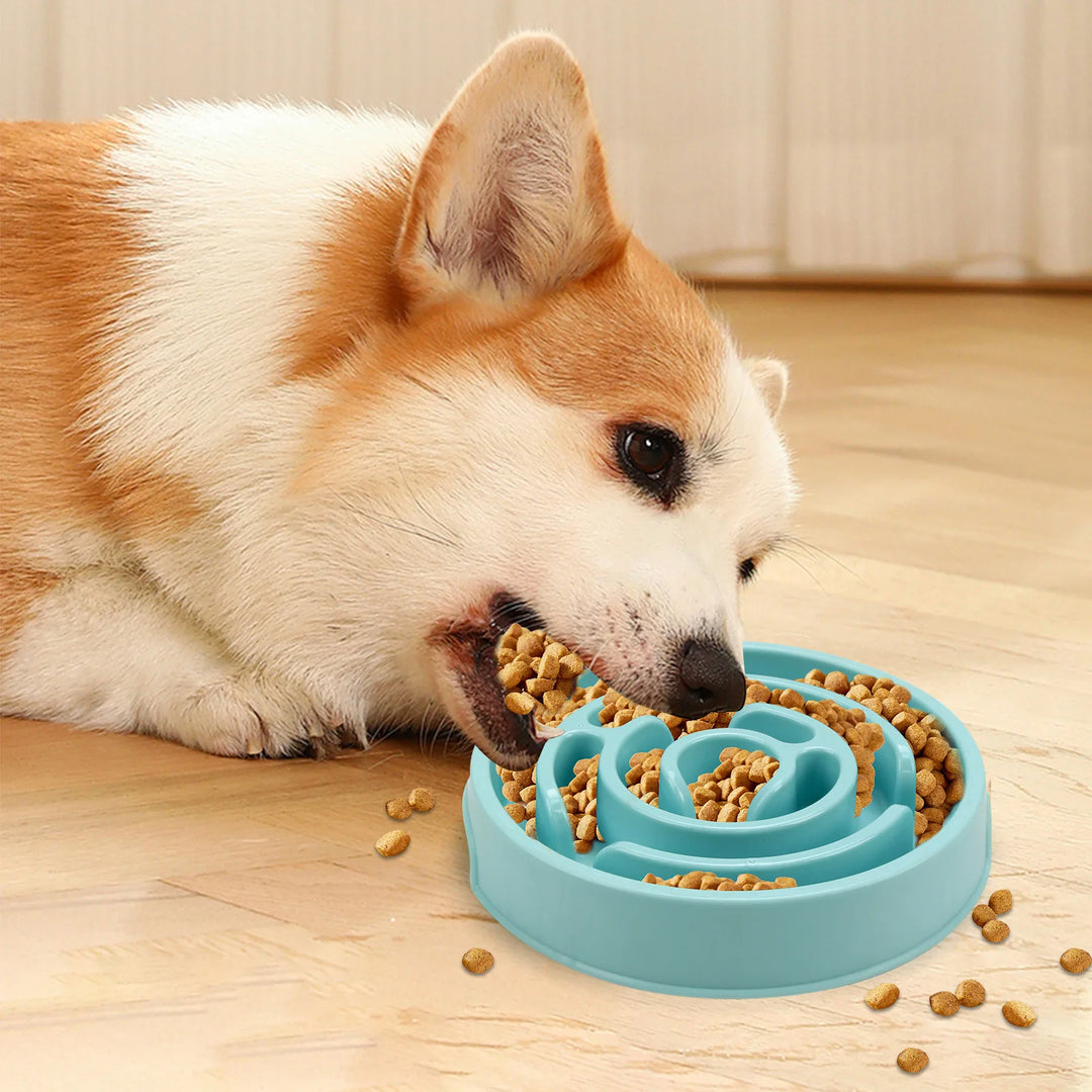 Slow Feeder Dog Bowl – Non-Slip & Anti-Choke Design