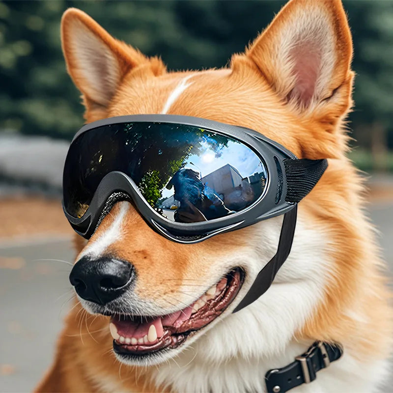 Dog Sunglasses with UV Protection – Adjustable Goggles for Outdoor Adventures
