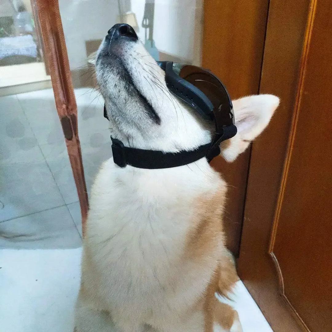 Large Dog Sunglasses – UV Protection Adjustable Goggles with Chin Strap