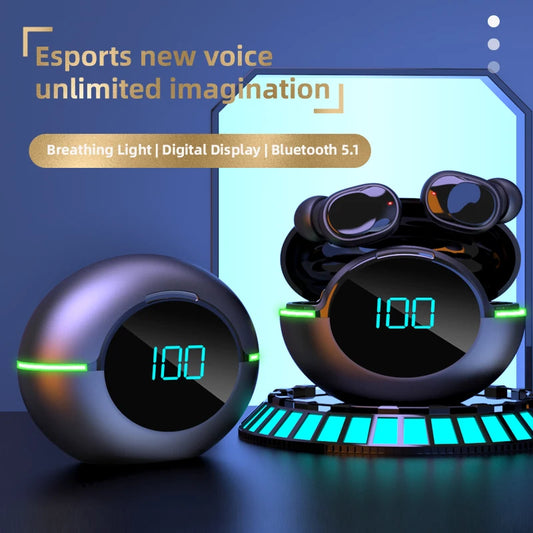 Ballena Y80 Bluetooth 5.1 TWS Earbuds – Noise Cancelling & Mic – audio-accessory