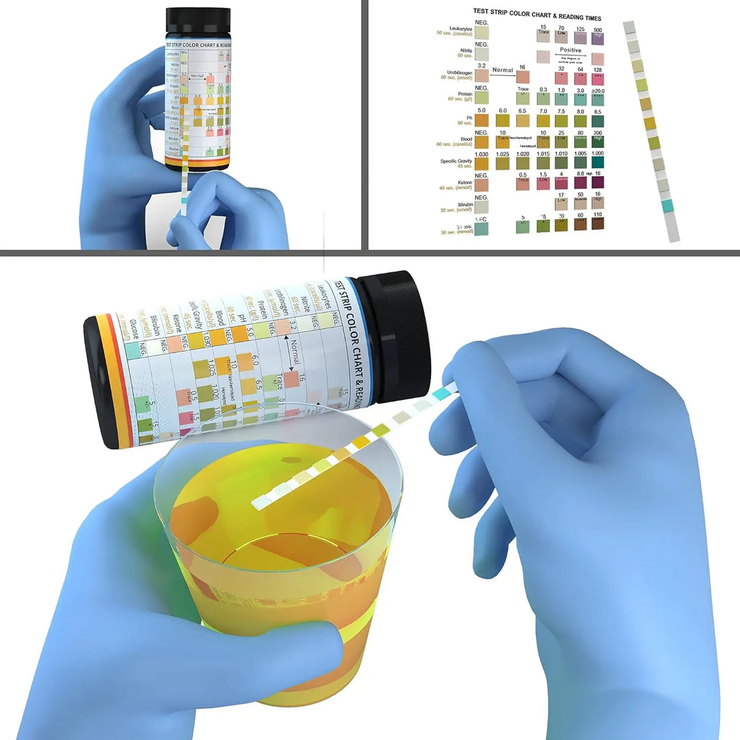 Pet Urine Test Strips – 10 Parameter Dog & Cat Health Check