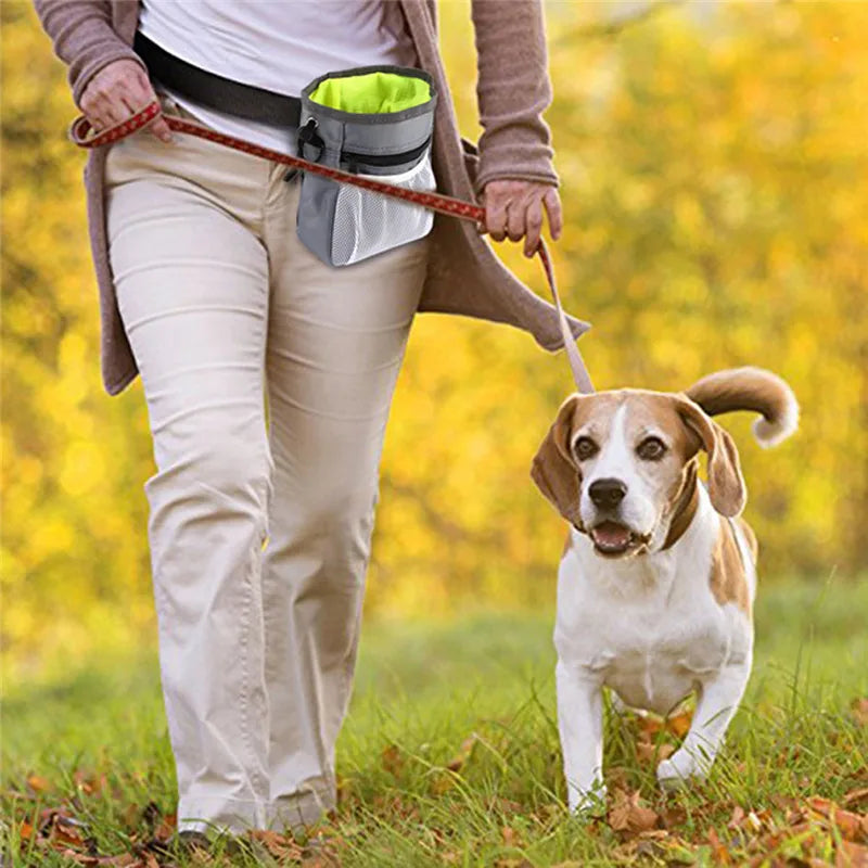 Hands-Free Dog Treat Pouch – Oxford Fabric Training Bag