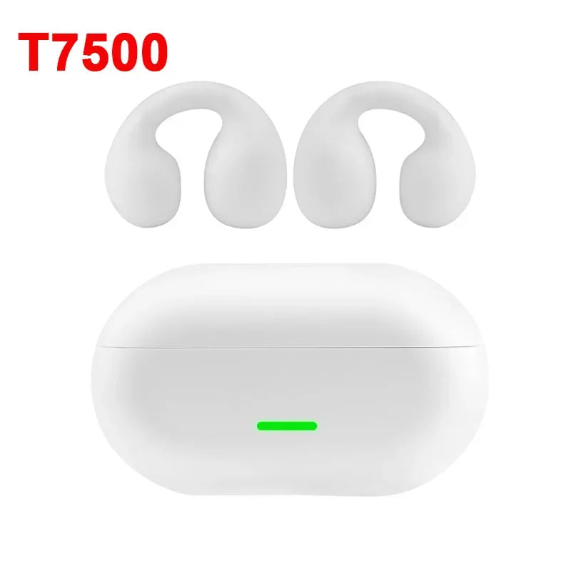 DIXSG Bluetooth 5.3 Ear Hook Earbuds – Wireless & Mic