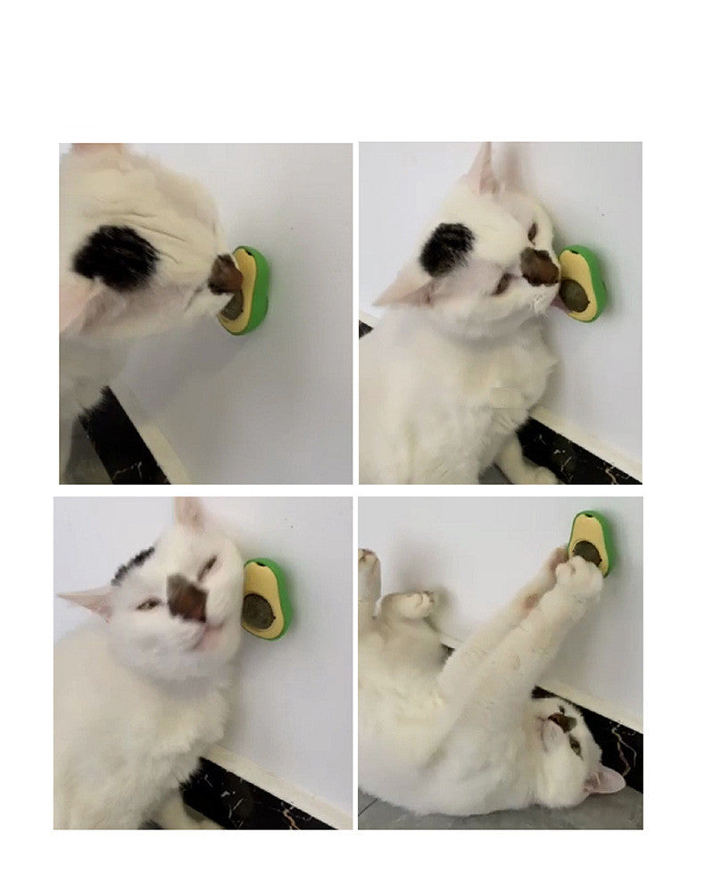Avocado Catnip Ball Toy with Peppermint – Dental & Digestive Benefits