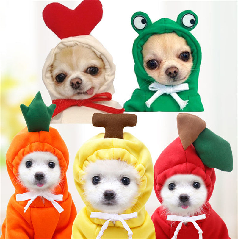 Cozy Fruit Hoodie for Dogs – Cute Winter Pet Sweater for Small & Medium Breeds