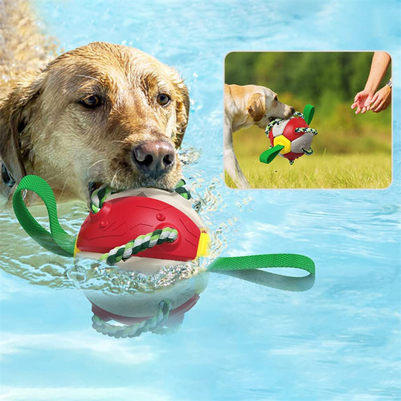 2-in-1 Transforming Frisbee Ball Toy for Dogs – Teething, Tug, Fetch & Water Play – grooming kit