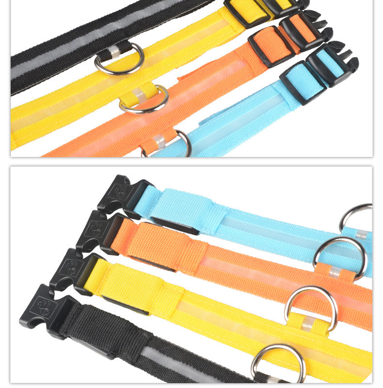LED Safety Dog Collar – USB & Battery Powered Night Visibility