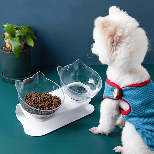 Ergonomic Cat Feeding Bowl – Tilted Transparent Design (Single or Double) – grooming kit