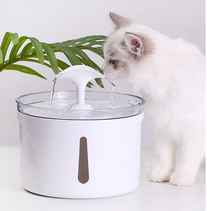 2.5L Filtered Pet Water Fountain – Automatic Dispenser for Cats & Dogs – grooming kit