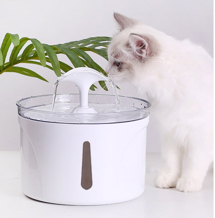 2.5L Filtered Pet Water Fountain – Automatic Dispenser for Cats & Dogs – grooming kit