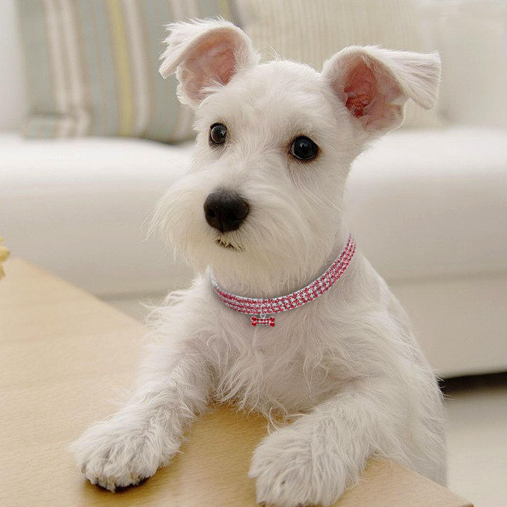 Crystal Rhinestone Pet Collar – Bling Necklace for Small Dogs & Cats