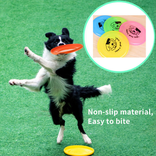 Dog Frisbee Toy – Lightweight & Durable Outdoor Training Disc (20cm) – grooming kit