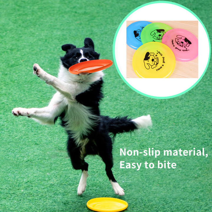 Dog Frisbee Toy – Lightweight & Durable Outdoor Training Disc (20cm) – grooming kit