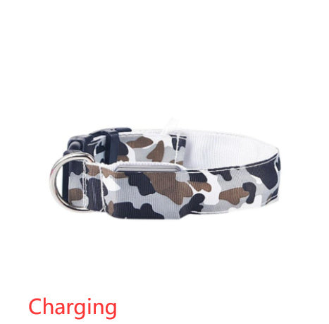 LED Light-Up Dog Collar – USB Safety Night Collar with 3 Flash Modes