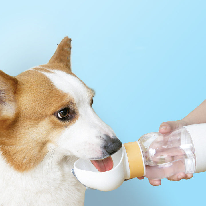 Twist-Top Portable Dog Water Bottle – BPA-Free Pet Travel Dispenser (350ml / 600ml / Combo) – grooming kit