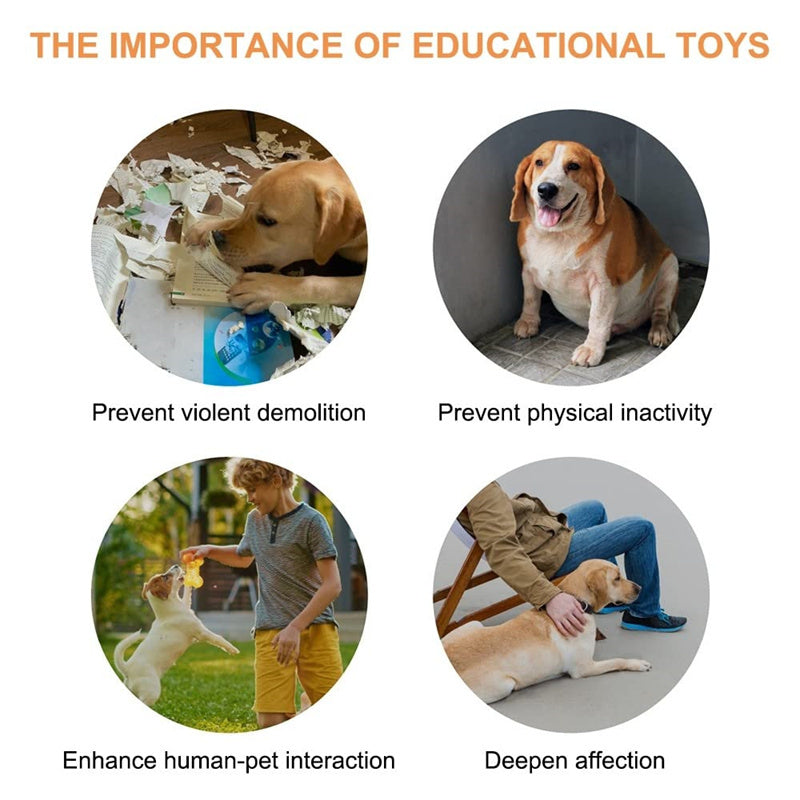 Pet Talking Button – Recordable Communication Device for Dogs & Cats