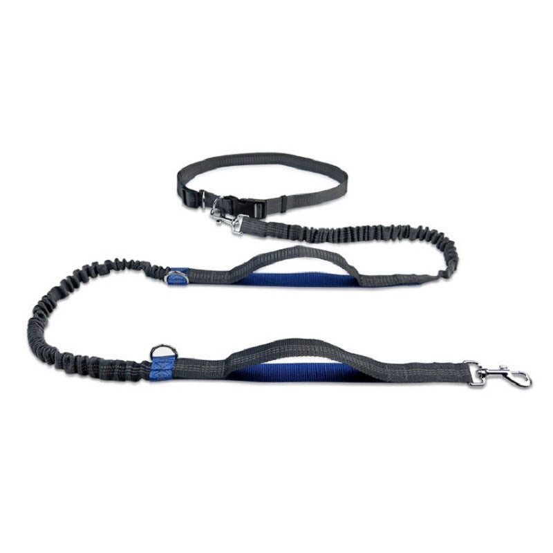 Hands-Free Retractable Dog Leash with Waist Belt – Ideal for Running & Hiking