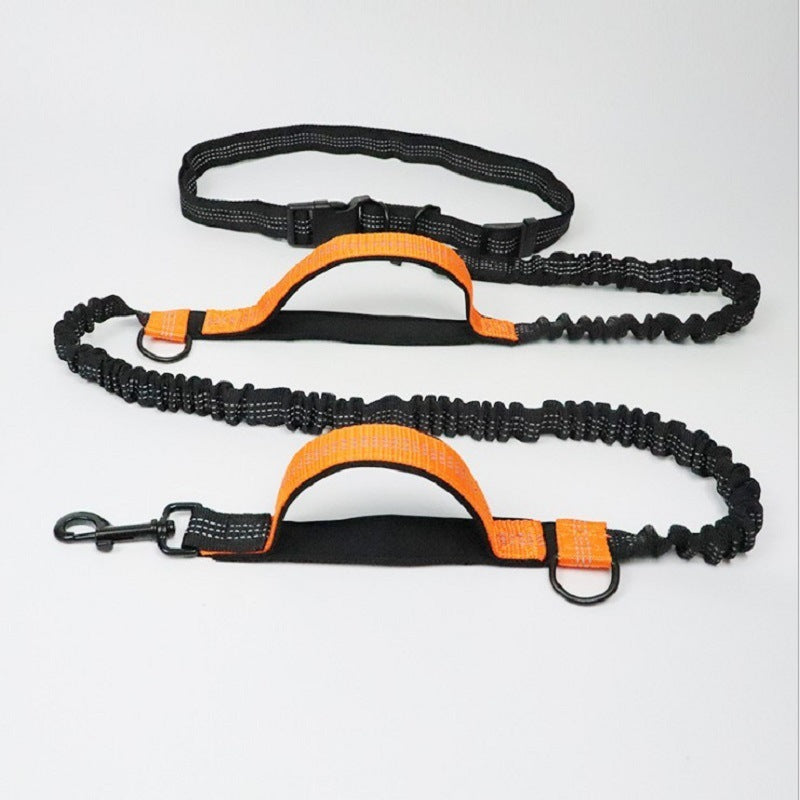 Hands-Free Retractable Dog Leash with Waist Belt – Ideal for Running & Hiking