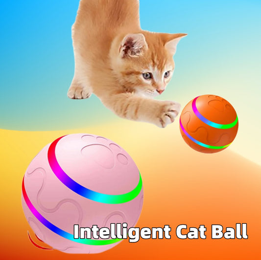 Interactive Smart Rolling Cat Ball Toy – USB Rechargeable | Auto Movement & Remote Control – grooming kit