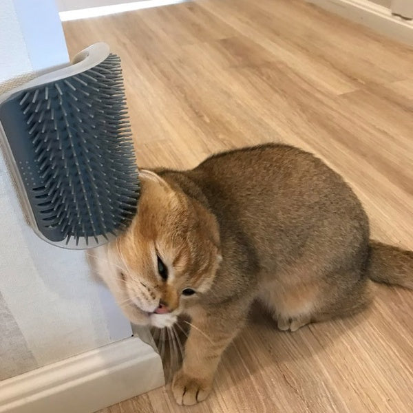 Wall-Mount Cat Self-Grooming Brush – Corner Scratcher & Massager with Catnip