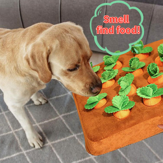 Interactive Carrot Pulling Snuffle Toy Mat for Dogs & Cats – IQ Training Play – grooming kit