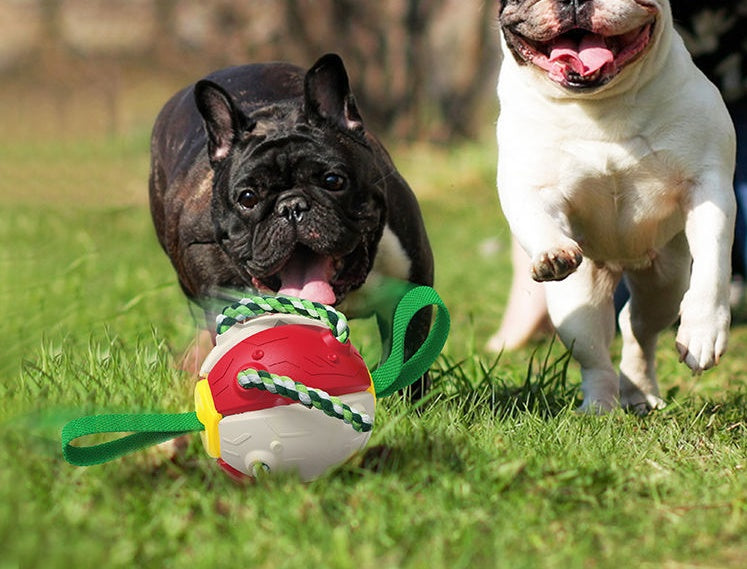2-in-1 Transforming Frisbee Ball Toy for Dogs – Teething, Tug, Fetch & Water Play – grooming kit