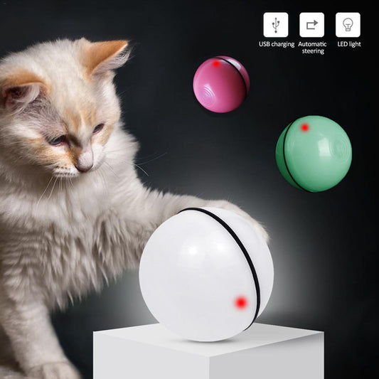360° Rotating Cat Ball Toy with LED Lights, Feather, Bell & Catnip – USB Rechargeable – grooming kit