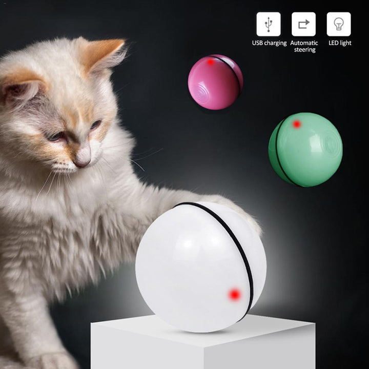 360° Rotating Cat Ball Toy with LED Lights, Feather, Bell & Catnip – USB Rechargeable – grooming kit