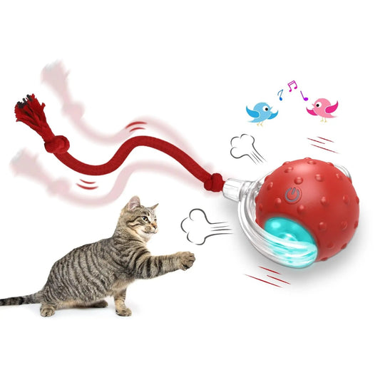 Smart Motion-Activated Cat Toy with Chirping Sound – 3 Modes – grooming kit