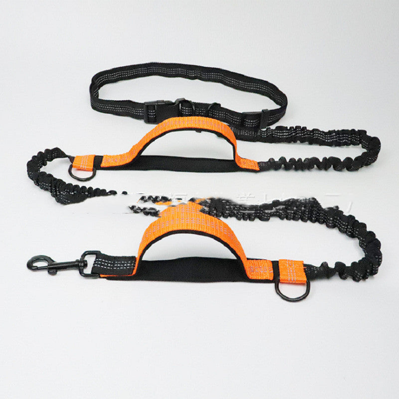 Hands-Free Retractable Dog Leash with Waist Belt – Ideal for Running & Hiking